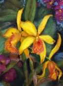 art of Julie Schmidt